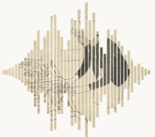 DD Day 2014 image by Andrea Pazos