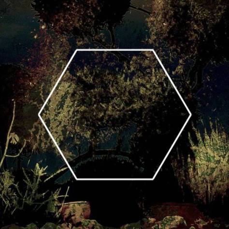 the sea from the trees