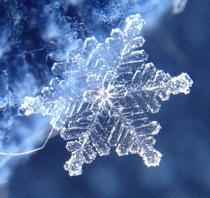 Snowflake iPhone