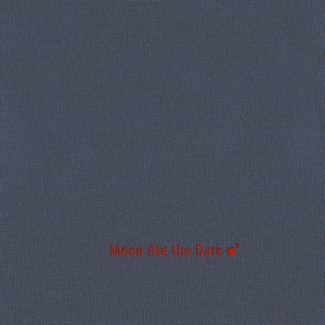 Moon Ate The Dark - II