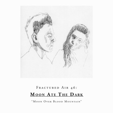 moonatethedark_sleeve