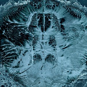 Featured Image -- 11289